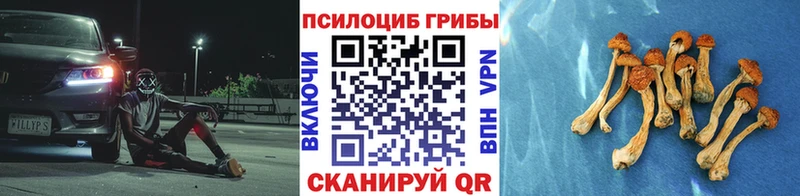 где купить наркоту  Нальчик  Галлюциногенные грибы Psilocybine cubensis 